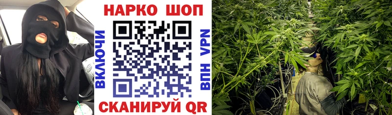 Где можно купить наркотики Новозыбков Альфа ПВП ОМГ ОМГ Кокаин Меф ГАШИШ Марихуана