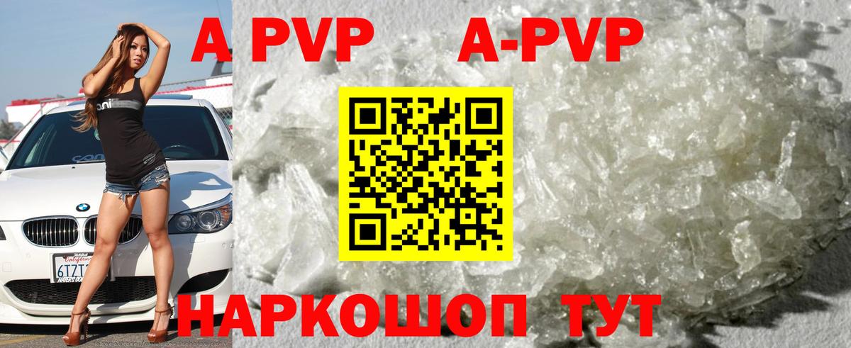 A PVP СК КРИС  Новозыбков  A PVP VHQ 