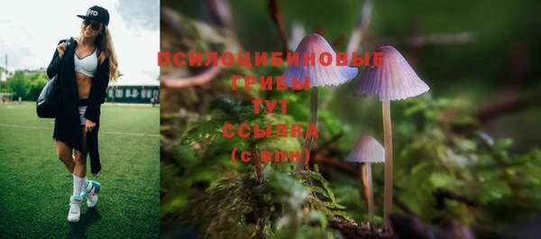 сатива Нягань