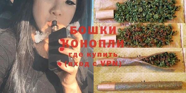 сатива Нягань