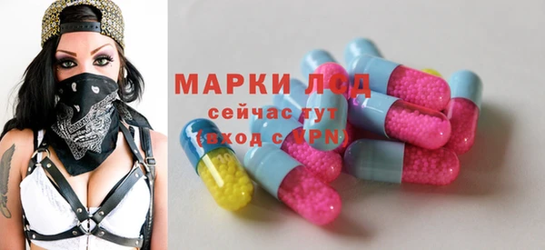 МДПВ Новозыбков