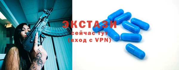 сатива Новодвинск