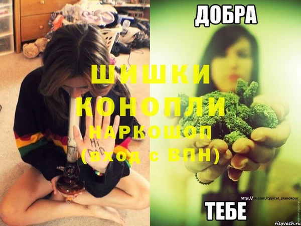 сатива Нягань