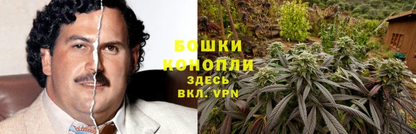 сатива Нягань