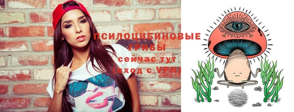 МДПВ Новозыбков