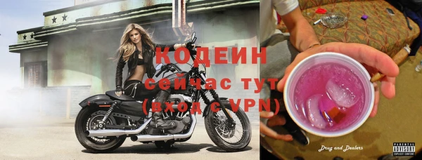 сатива Нягань