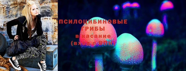 прущий лед Няндома
