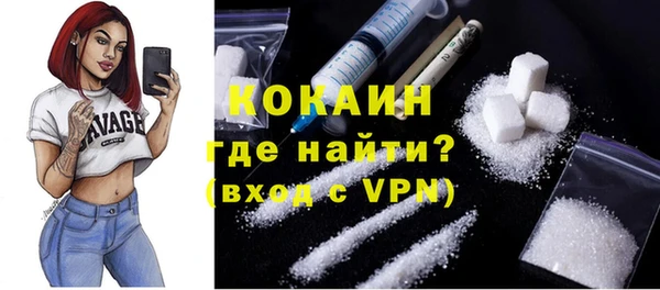 сатива Нягань