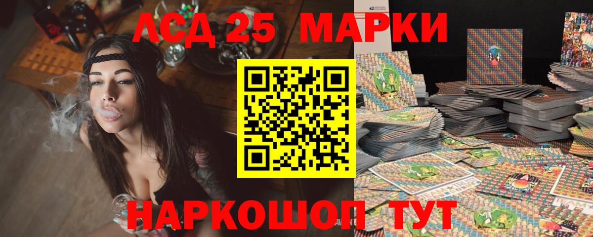 Новозыбков  mega ссылки  ЛСД экстази кислота  Вход с VPN  Лсд 25 экстази ecstasy  LSD-25 экстази 
