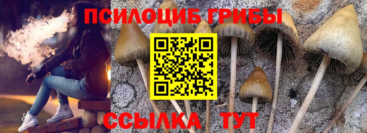 Псилоцибиновые грибы ЛСД Новозыбков