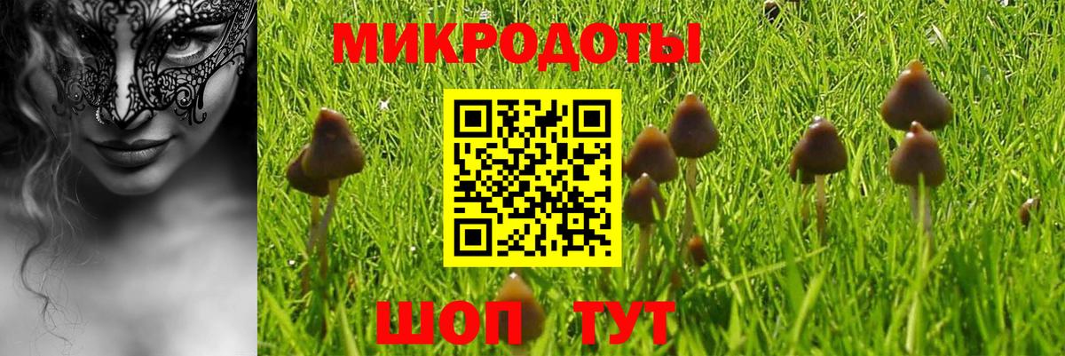 Галлюциногенные грибы GOLDEN TEACHER  Новозыбков  Галлюциногенные грибы GOLDEN TEACHER 