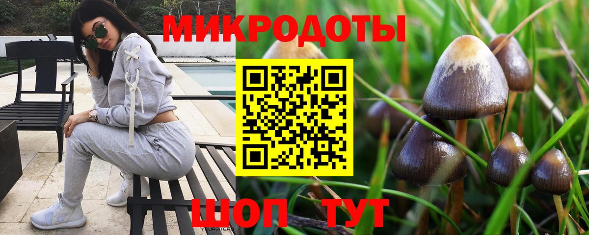 Новозыбков  Галлюциногенные грибы GOLDEN TEACHER  где найти наркотики  Вход с VPN 