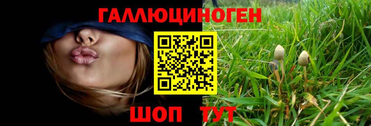 Галлюциногенные грибы мухоморы Новозыбков