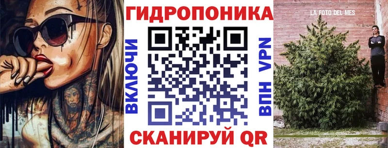 цены наркотик  Новозыбков  Канабис конопля 